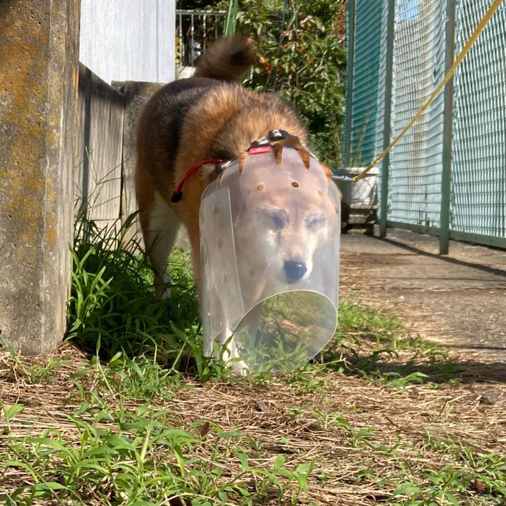 Fccc91f9 b8dc 444a 8bb6 22b20975face 1666157716411