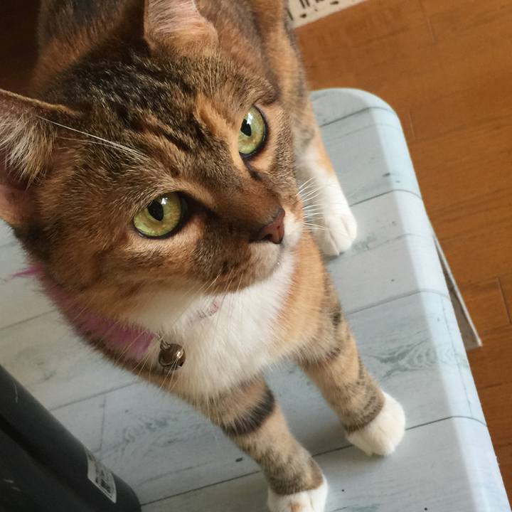 Fcccfcea 2266 4bc3 b16f e4223c555eff 1570949327033