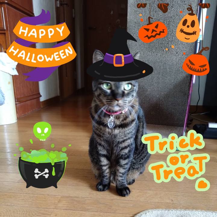 Fccd1b75 23bf 4b8e bc38 e915b8458e2d 1761863701570