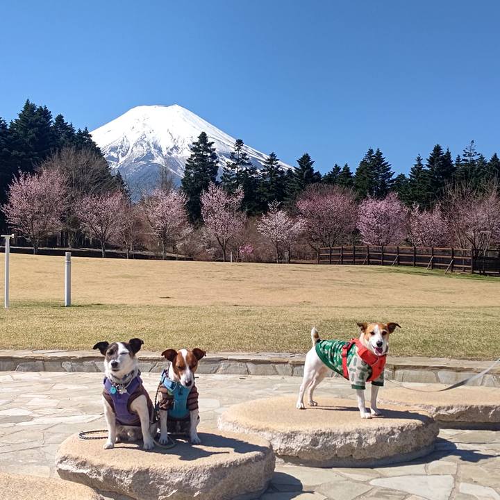 Fccd4737 56b9 447a 94d6 aecd8e8baa92 1681094564969