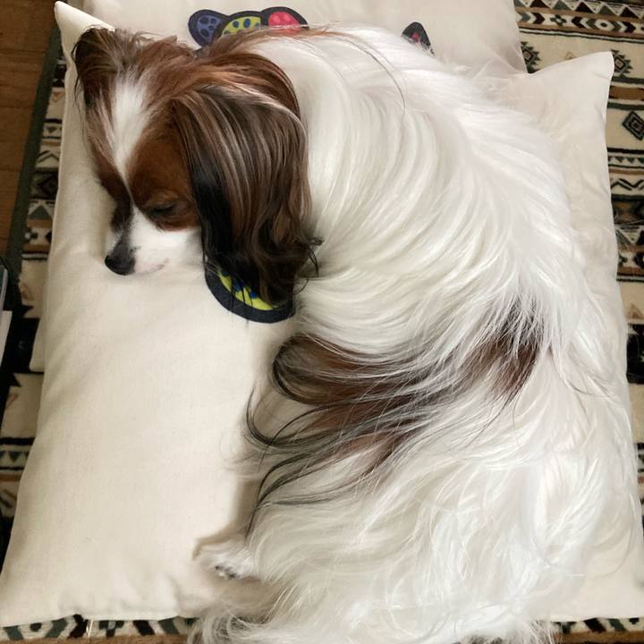 Fccd67b8 4960 45c3 8384 bcb06eb52052 1631952890811