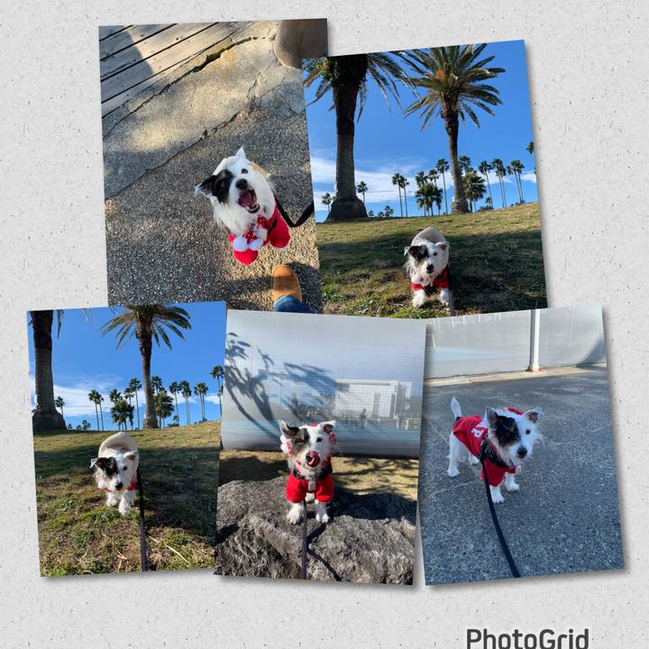 Fccd7f69 9b66 4087 9996 d31a69a959bb 1671847027082