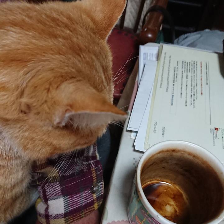 Fccd8d39 94d2 451f 9a48 acdcc1e11291 1586038829441