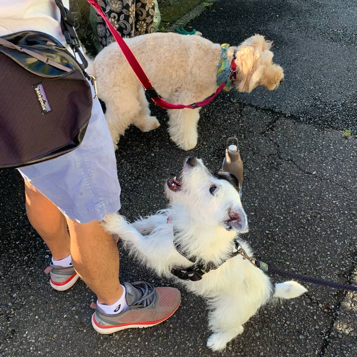 Fccd900a 383a 48f3 bdf1 ea7a461477e7 1693867856914