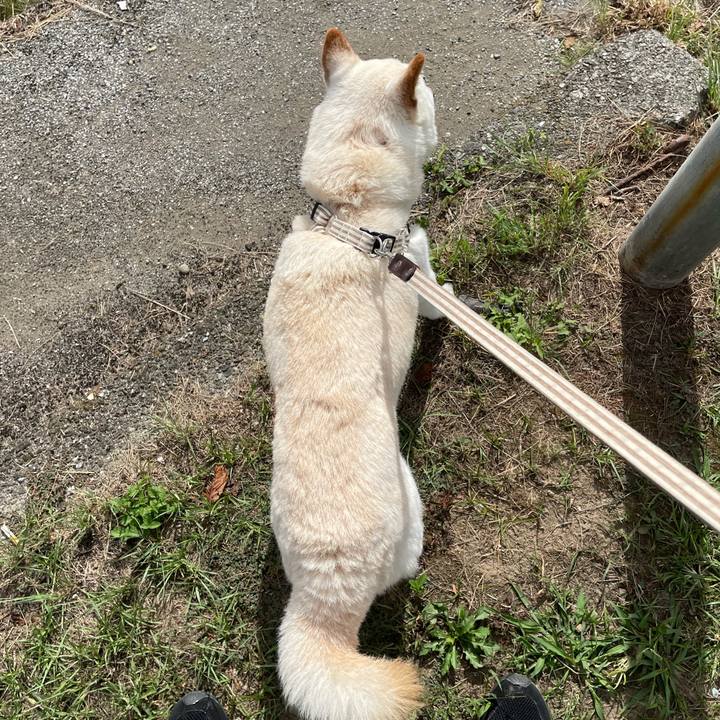 Fccdab16 32da 4c26 813f 00cb32113f4a 1634634488709