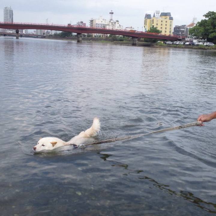 Fccdb7f8 8c62 4038 b233 848ea524887c 1662650765127