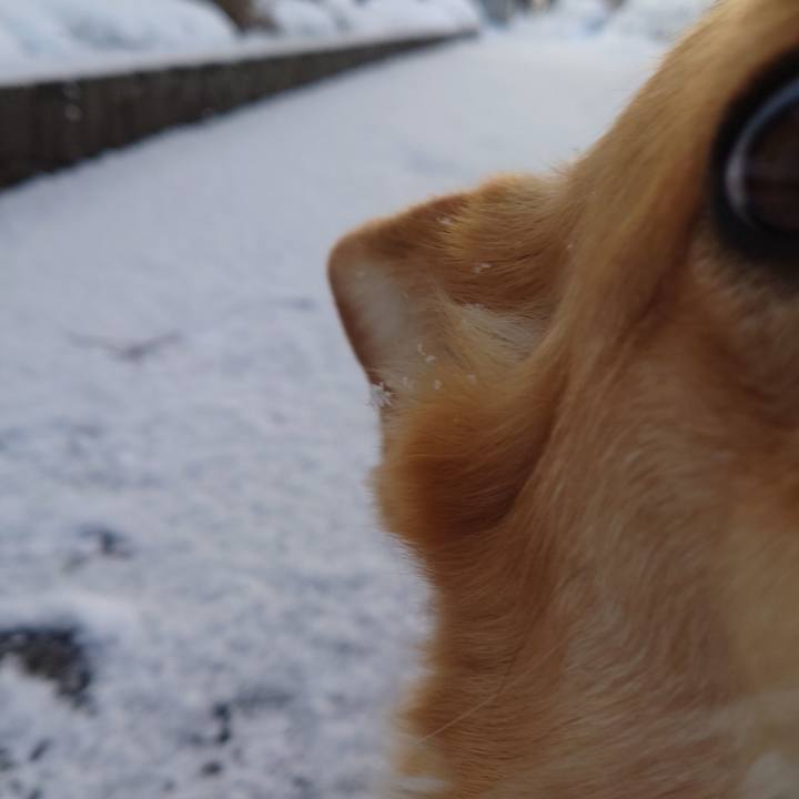 Fccdf0a7 b356 4c37 b45c dd25fecff6a9 1773187192734