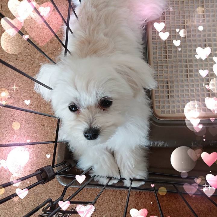 Fcce169e fcf6 4106 a5d6 1d91cc0074ea 1559271483951