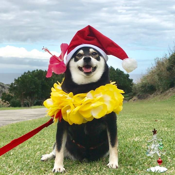 Fcce1cb0 5ee8 4695 a55b 3eed16cfc940 1514089907937