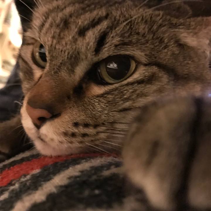 Fcce2c2b c044 49af 81ac 235d5614438a 1552199544828