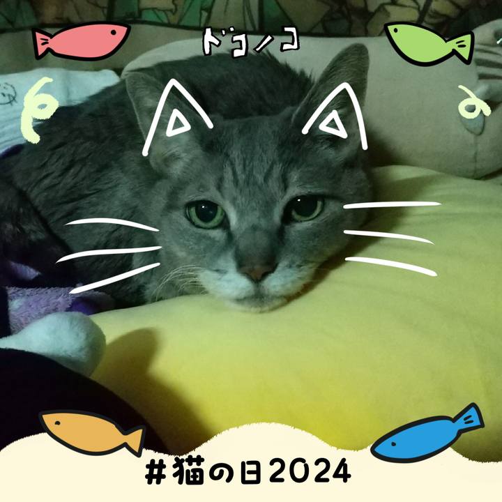 Fcce3173 d216 4fa0 bab7 2bd207236923 1708587459870