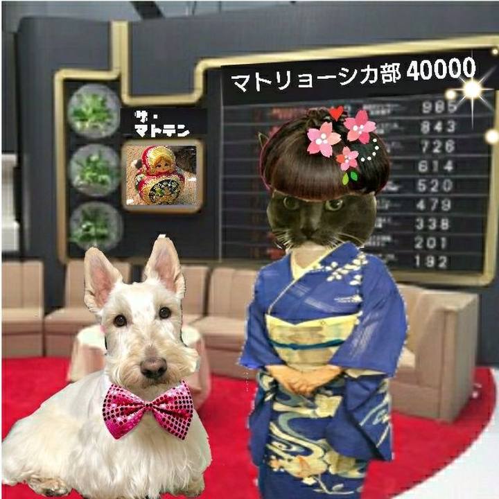 Fcce3502 7f1d 4bd1 9074 dbd42e5567aa 1555583333183