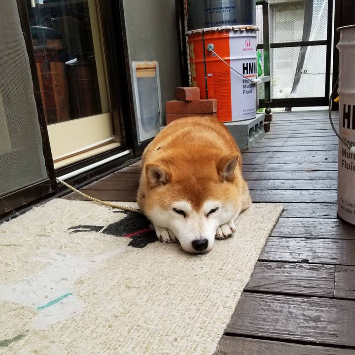 Fcce8d3d e91c 4560 93ef 34b34f951258 1571715234245