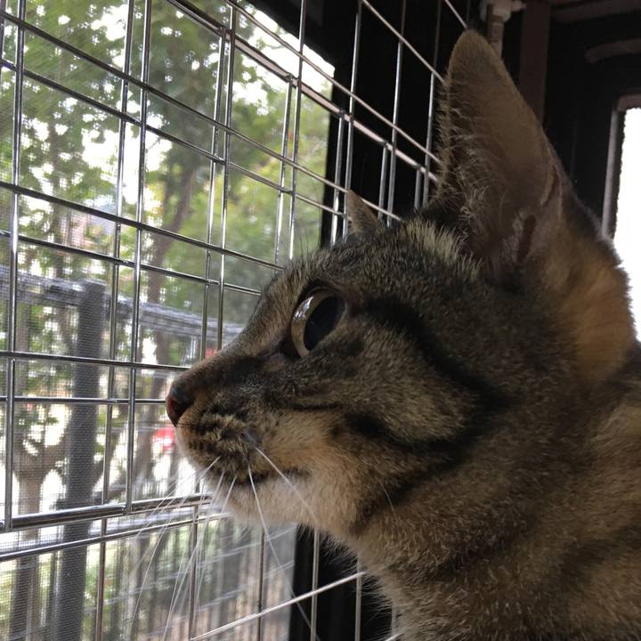 Fcce9aa4 1bc6 4699 8f4f 601812637708 1519782523126