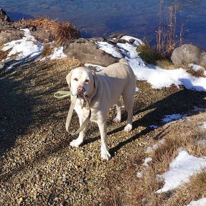 Fccec0be ab8f 4977 a9c5 6c82b214b2ac 1700371506899