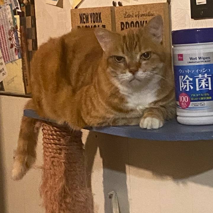 Fccf2308 cc2c 4e82 b68c b6cc3f19dfb6 1665500350356