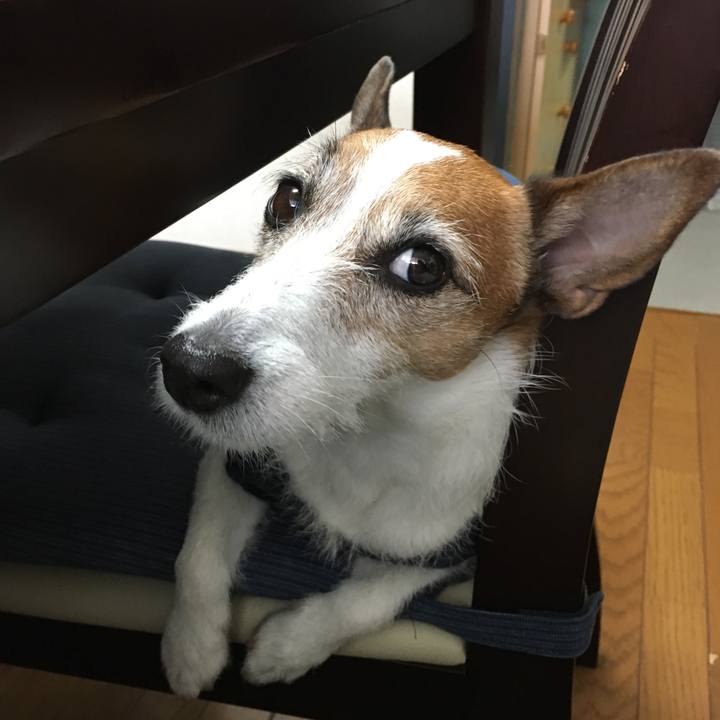 Fccf52fa 1bc6 466d 8691 82cdca3333c9 1556163285127