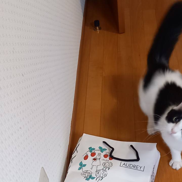 Fccf7a4c 8e00 4700 9576 ec8905bd3181 1675383015790