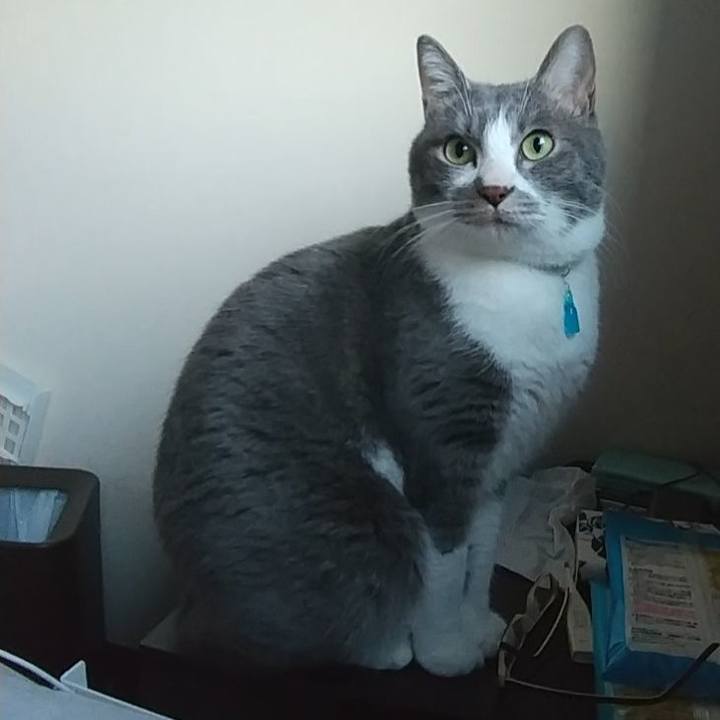 Fccf8218 a0fb 4851 9fdf 38265220612e 1643757959662