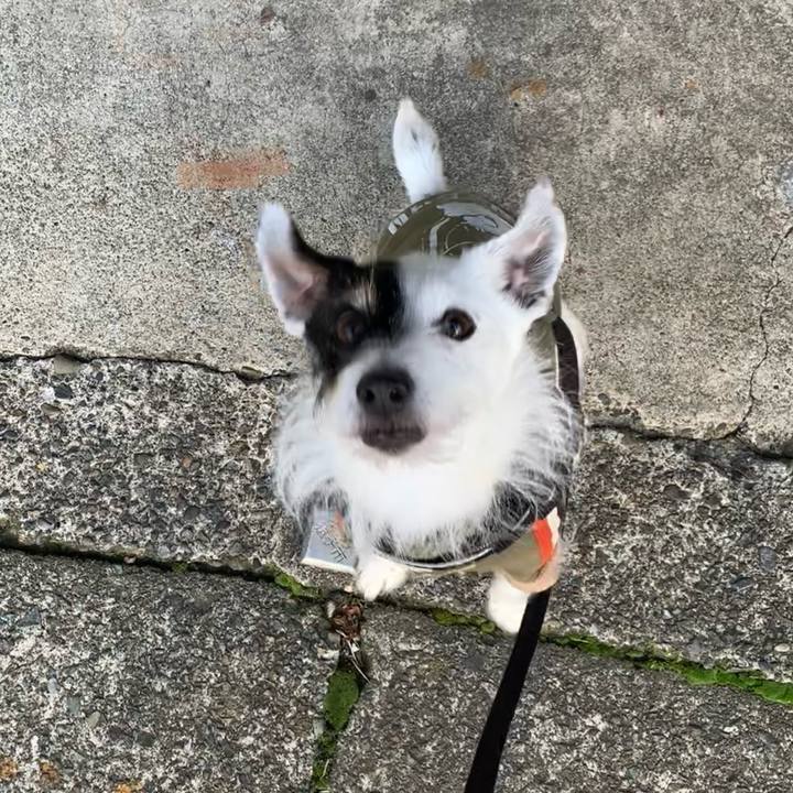 Fccf9a3e b51d 4a0a 815f 99eafb523ef7 1711530614332