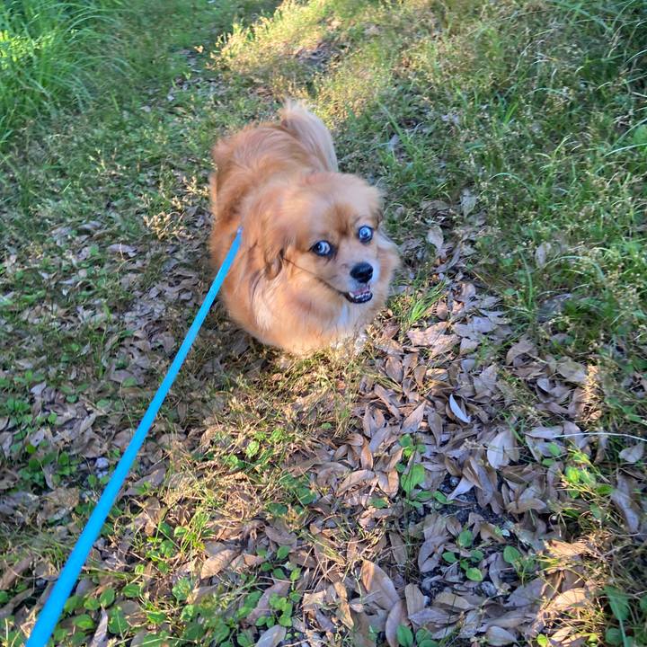 Fccfb5f3 4506 4c9b bcdc 1559299b4267 1656450944839