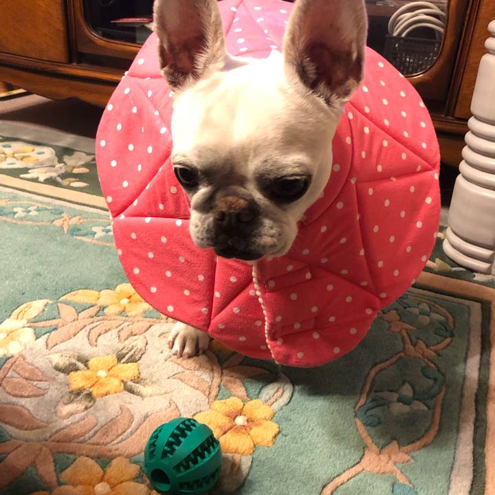 Fccfbd7d 5b2c 48e9 a464 a44fda22a366 1681733285099