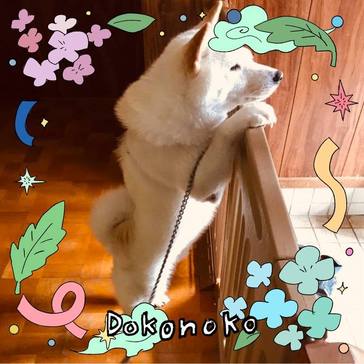 Fccfe215 185e 42bb 9bb3 11efbf074033 1717836909371