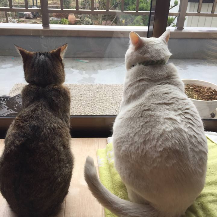 Fccfeda1 b3aa 4b6d b835 3b484429ef6a 1520640535285