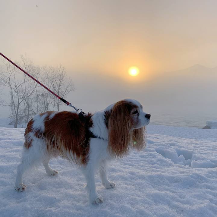 Fcd02bf3 735e 44a3 abcb 23abd25f7500 1616537531272