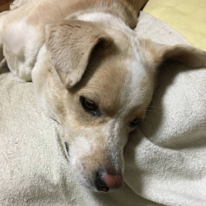 Fcd039c1 1921 40ab 839b b3996c5e7c6d 1533569202552