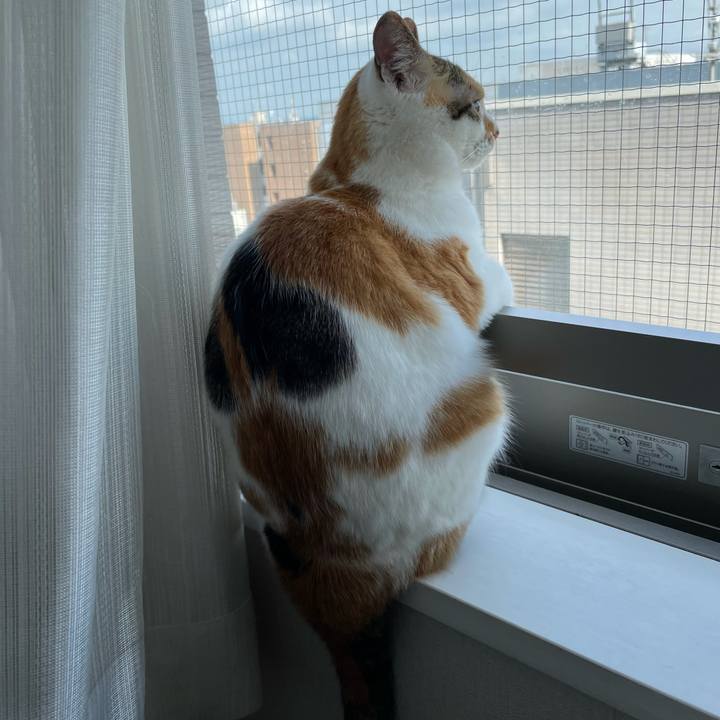 Fcd07e12 3b57 465d 9eaa fcd0601971e1 1624161875877