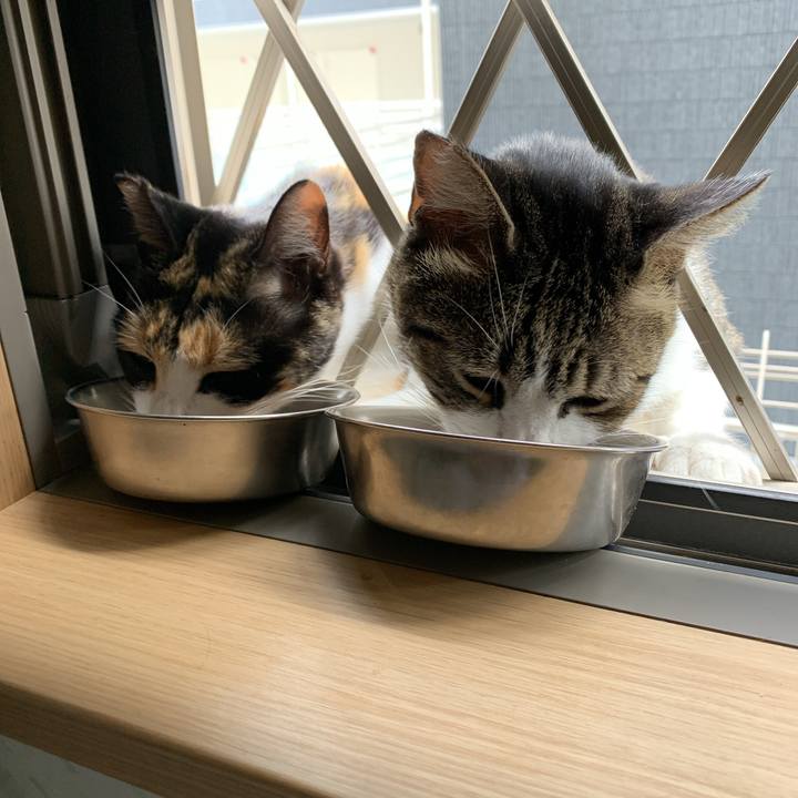 Fcd08f43 7d2d 40de 876c 2a6b41160639 1570943248549