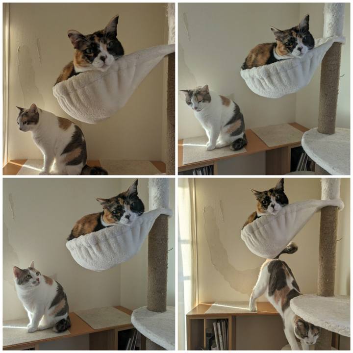 Fcd14f27 e847 4915 943d 85a1eef337ab 1700106555949