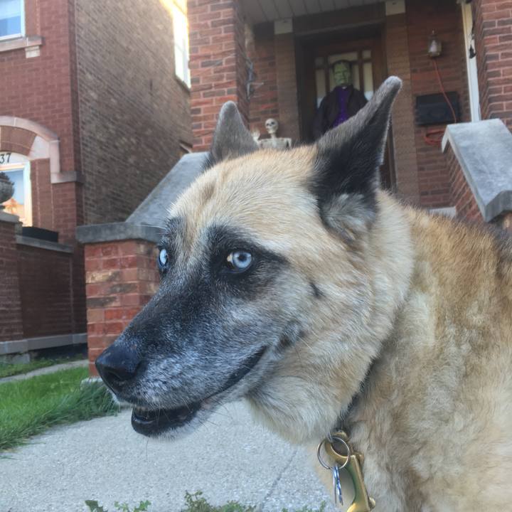 Fcd17f31 89c3 4cb5 9883 979fad7e0c24 1571091500170