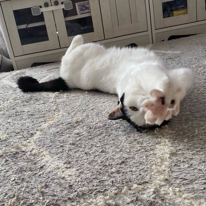 Fcd18a93 b6e0 4406 a4a8 f7ecbe0c5b98 1637920106418