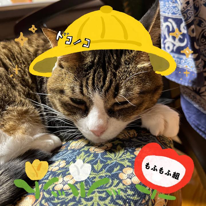 Fcd193ff ed8d 4ec8 bc3c 87e2b721c591 1712741135875