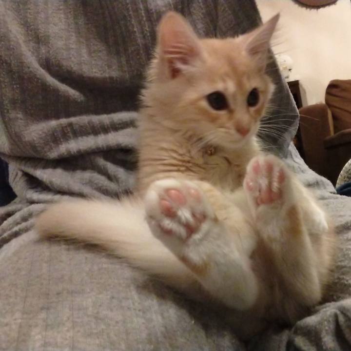 Fcd19c5c 123d 4a82 80f7 3177272c7210 1605355991205