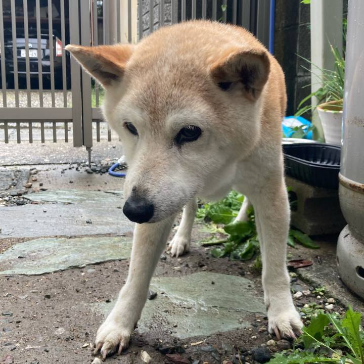 Fcd1b351 2b08 4650 ae73 634699e68407 1719741180972