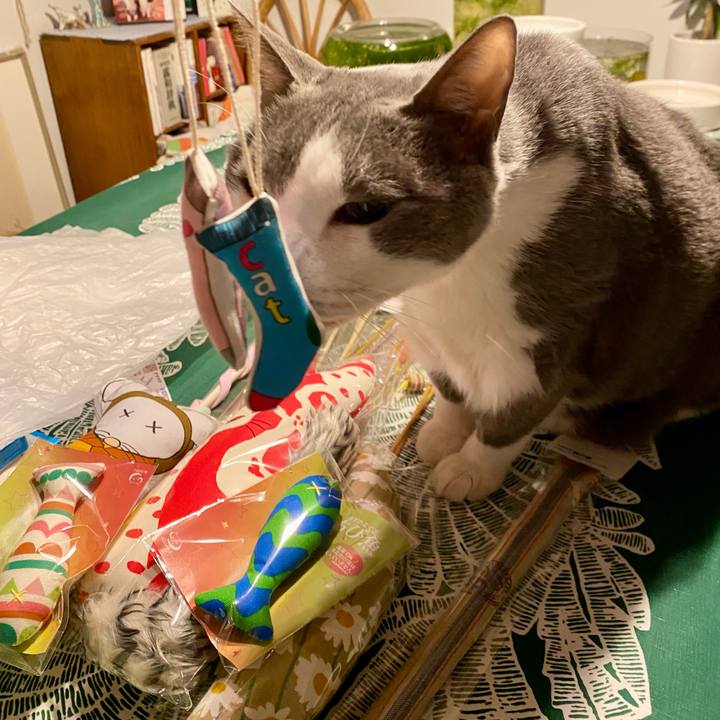 Fcd1c023 5ca4 4b78 b086 3fd01261a51d 1764500246163