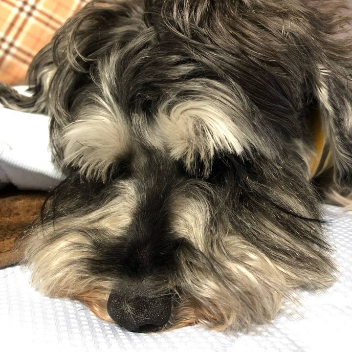 Fcd1c87d e3a0 498e aea9 da396e7fb25d 1628087232284