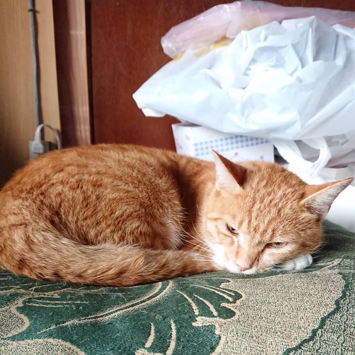 Fcd1e024 f84d 4b57 a082 f08e4b3765d7 1567472643928