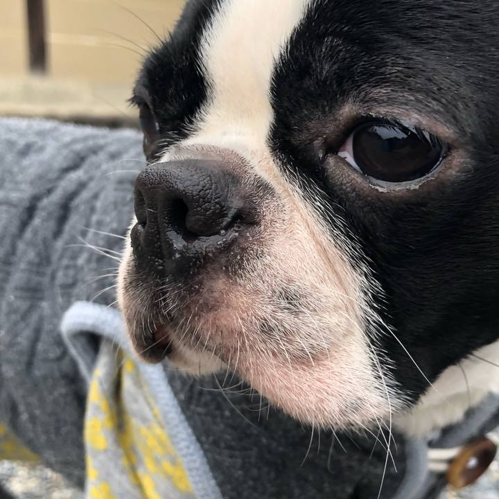 Fcd1f6b7 df19 4949 a9e4 4f516e043853 1519633816921