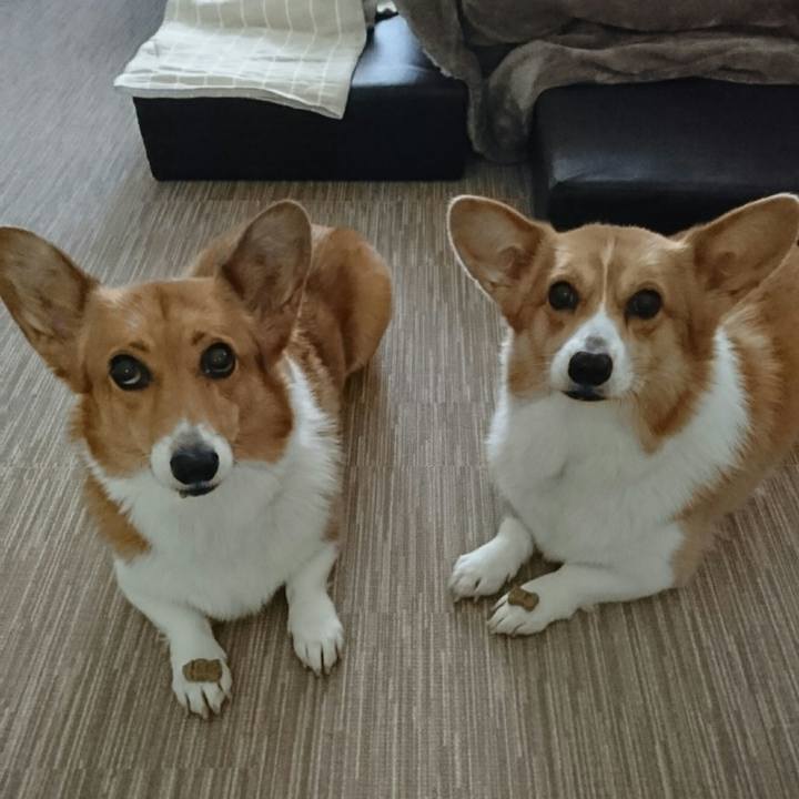 Fcd1fc32 3e2a 4205 9a33 69674ac8e509 1549262273627