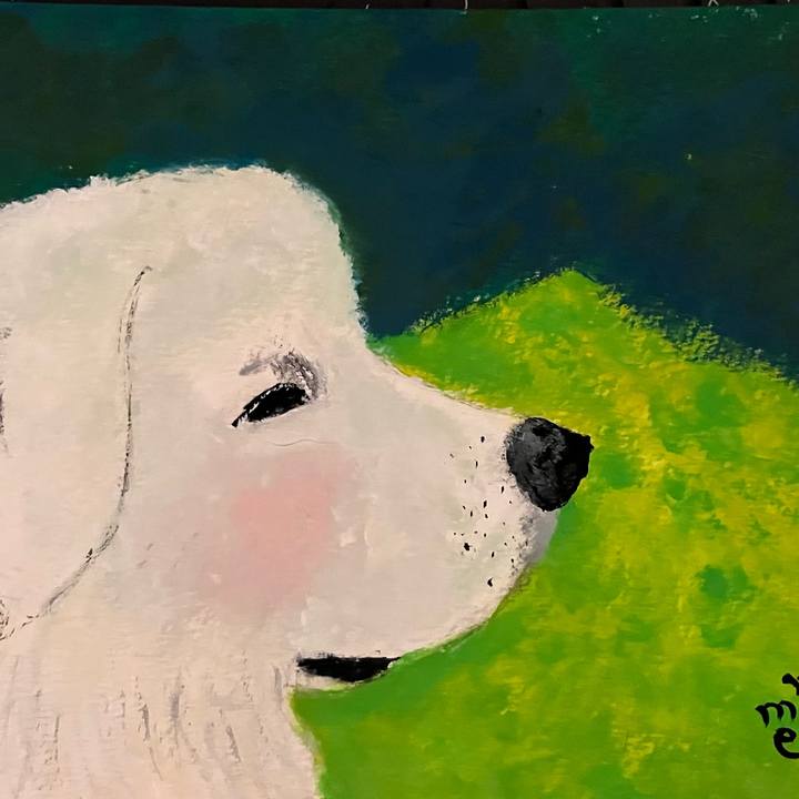 Fcd2008c 1813 486e 8602 bf0403d92ab7 1741617142366