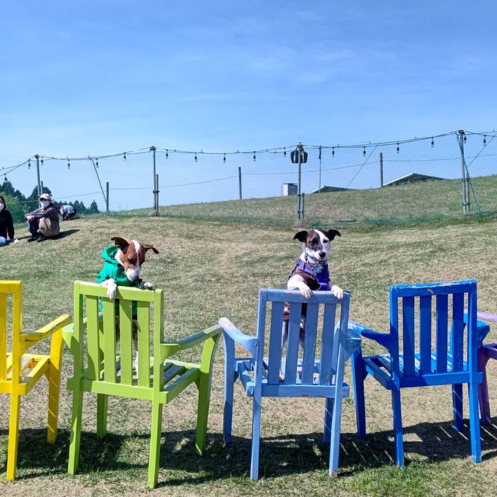 Fcd23dea a905 4f5e 84cb fb57517ed321 1682230483563