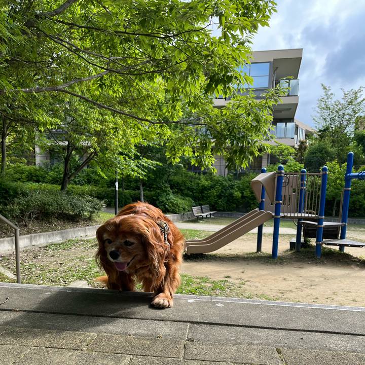 Fcd25821 a5cc 4d9c aafc 38157616ba9a 1748734929566