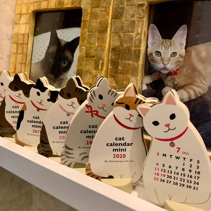 Fcd259d6 6d38 447e a4cf dab151cc76c4 1625095484749