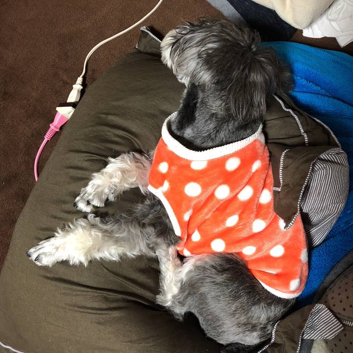 Fcd2772c 7804 4f2e b5b4 ab188086e463 1518876049212