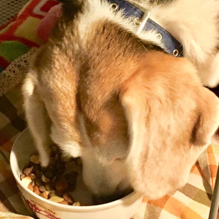 Fcd27e4c 0c87 4fa1 82ab 006202cb0582 1551345871444