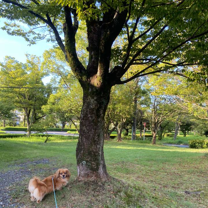 Fcd2a6eb 1906 4daf b693 15fad1988baa 1597183086889